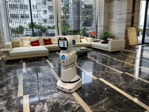 Последний робот завода по производству роботов официально запущен - Product Image 5