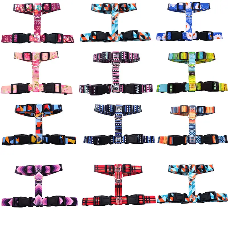 New Pet Dog Leash Manufacturer Secure Luxury Printed Webbing Adjustable Small Cat Dog Harness Leash Nylon