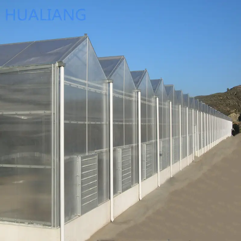 agricultural production polycarbonate greenhouses with seedbed growing table