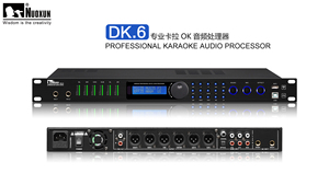 Karaoke vokal ses dsp efektleri wifi bağlantısı dijital ses işlemcisi - Product Image 6