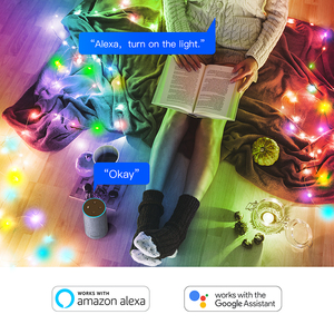 Wifi App <strong>String</strong> <strong>Lights</strong> Smart <strong>String</strong> <strong>Lights</strong> Outdoor Garden RGB Copper Wire LED <strong>String</strong> Fairy <strong>Lights</strong> with Mobile APP Control - Product Image 3