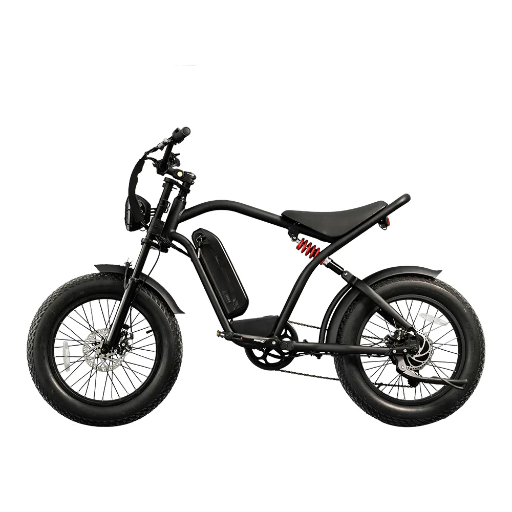 Vente en gros gros vélo électrique 20 pouces pédale assistée tricycle 48v 750w avec côté voiture vélo électrique 3 roues