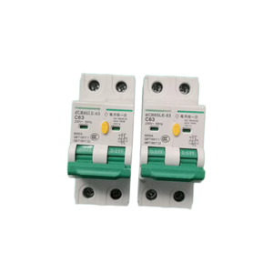 Disyuntor de dispositivo de bajo voltaje de CC 40A 2 P 2 polos 40amp Mini disyuntor eléctrico