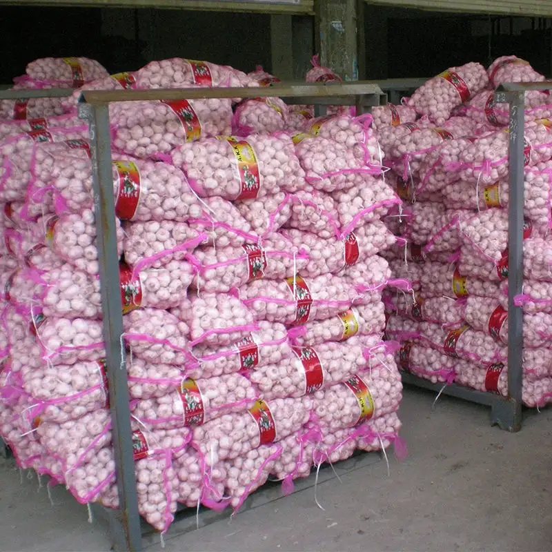 China Bawang Putih Segar Harga 1 Karung Jual Bawang Putih Murni Alami Fresh Garlic