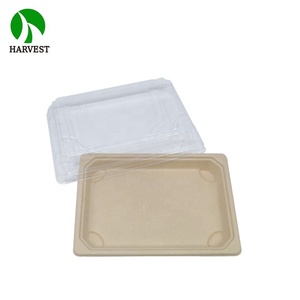 Sugar Cane Bagasse Paper Unbleached <strong>Pulp</strong> Disposable Maki <strong>Box</strong> - Product Image 4