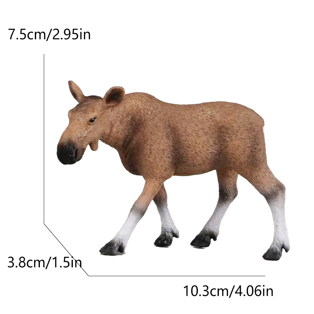 175 female camel deer-605g