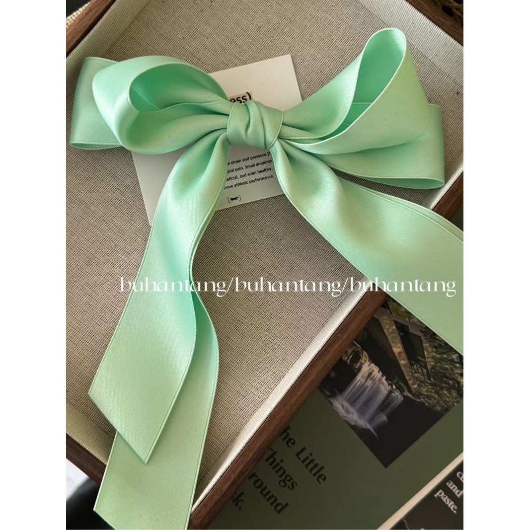 3611 Clip de resorte verde menta