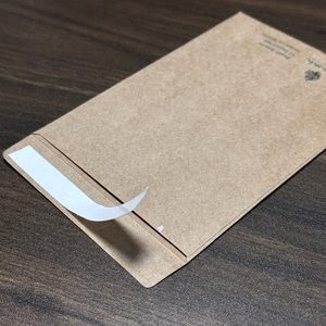 Tùy Chỉnh Tái Chế Nâu Kraft Mini Đồng Xu Bao Bì Dễ Dàng Xé Dải Hạt Giống Nhỏ Ví Phong Bì Cho Món Quà Cho - Product Image 2