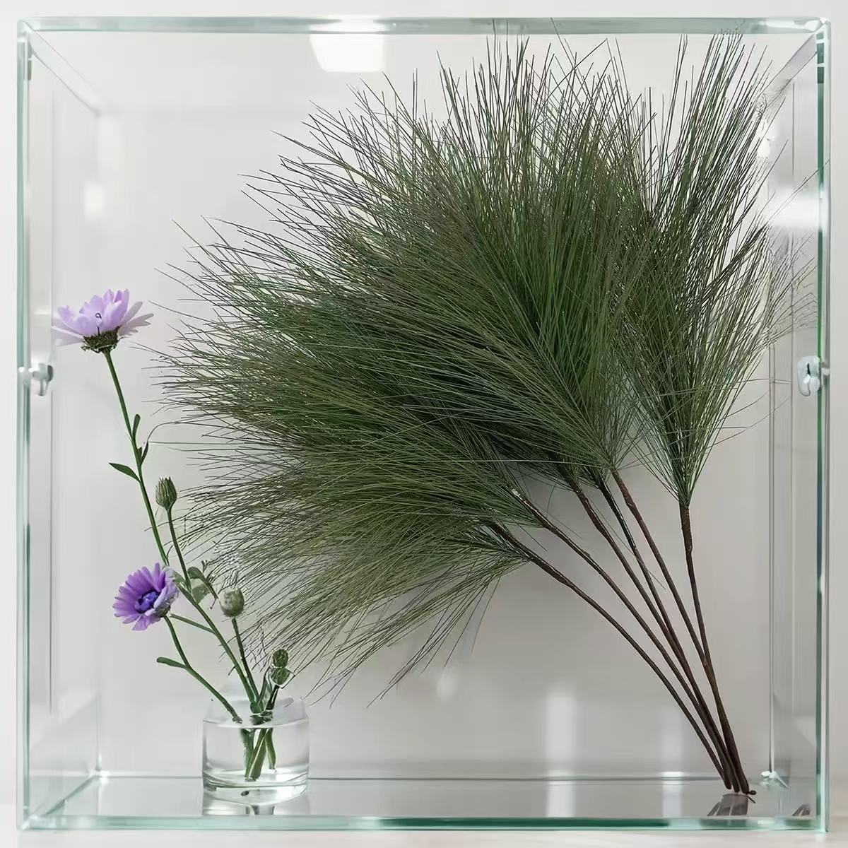 Green-chinese pine