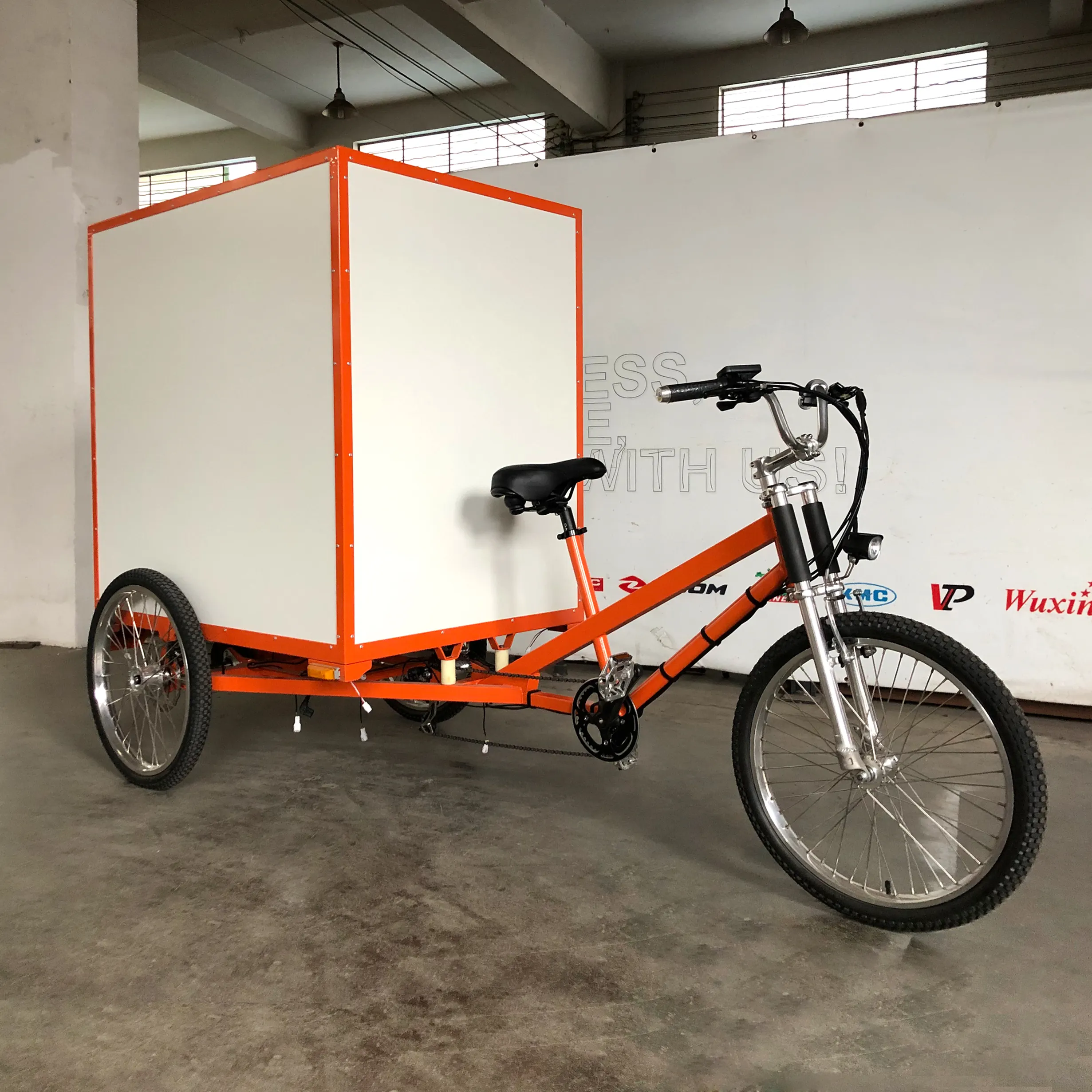 Vendita calda Elettrico Assist Pick Up Trike Cargo Trike