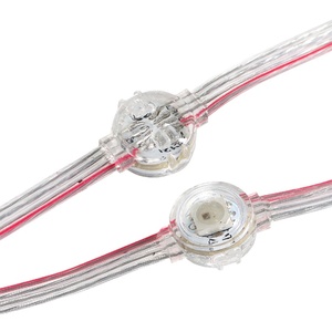 アドレス指定可能な屋外装飾WS2815SK6812ピクセルLED 10mm 12V5V防水IP67RGBLEDピクセルライトストリング - Product Image 1