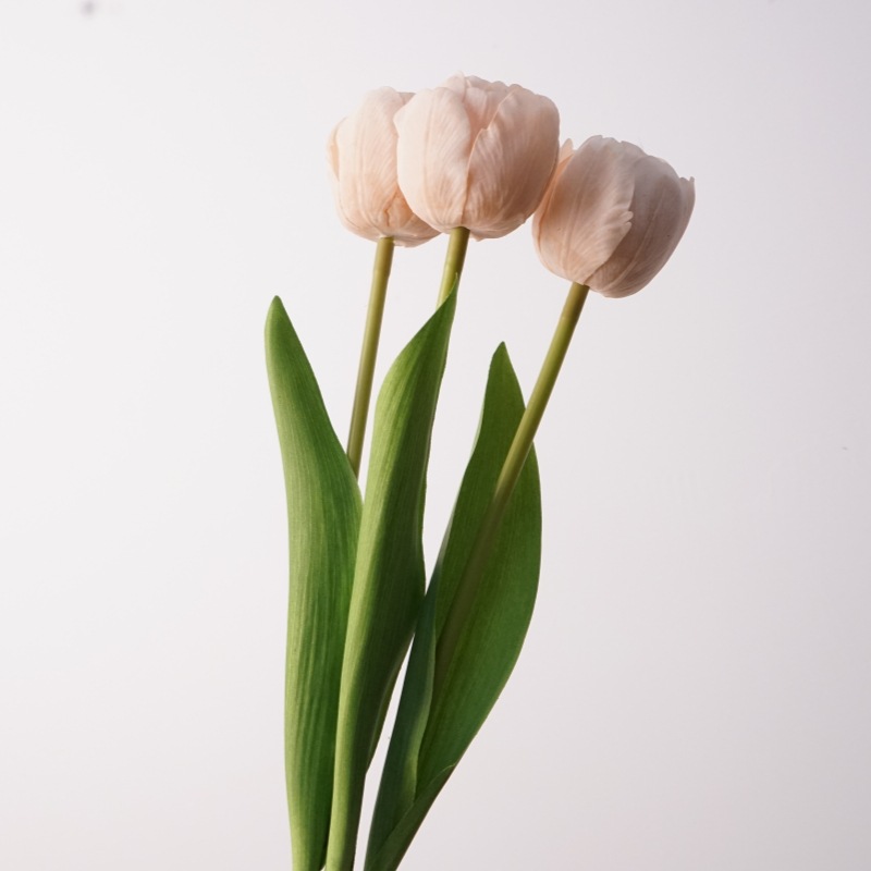 3 branches camellia tulips-taoyao