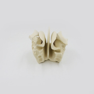 Equipo de enseñanza etmoidal para agrandar la ciencia médica, instrumento científico, modelo de simulación de modelo óseo de disección - Product Image 2