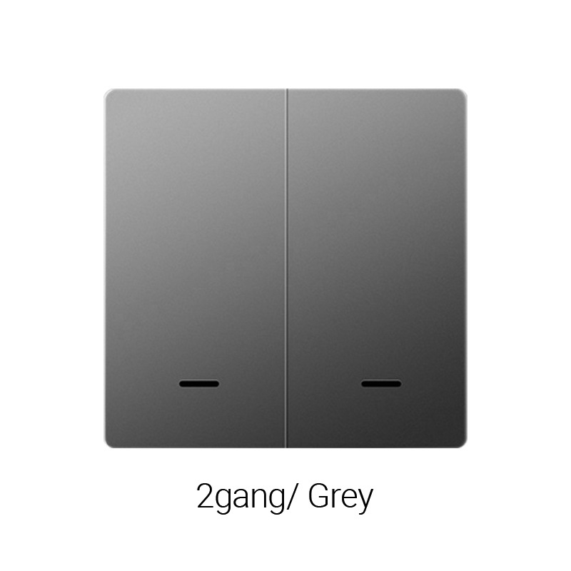 ZigBee Universel Simple/Mono-Phase 2 Boutons Gris