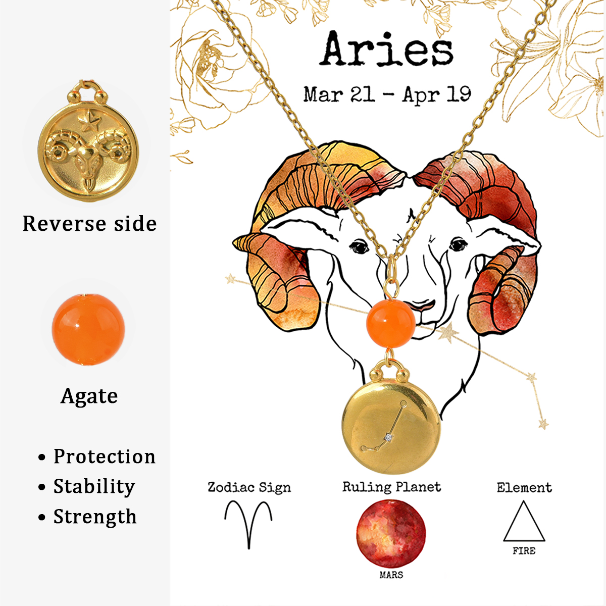 NE240212-1 Aries