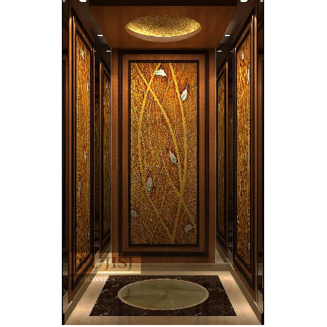 Elevador de pasajeros con diseño de lujo Elevadores textura metálica Villa Lift