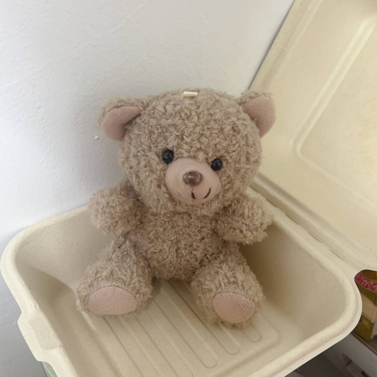 Little Brown Bear - Naked Bear