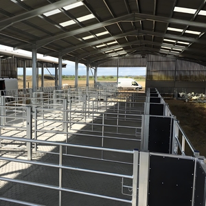 Arctic-Grade Steel Cattle Barn 30x15m -40&deg;C <strong>Rating</strong>, Triple Insulation, Heated Floor <strong>System</strong> - Product Image 2