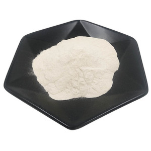 Fruiterco Plantenextract Bulk Natuurlijke Psyllium Zaad Kaf Extract Poeder - Product Image 2