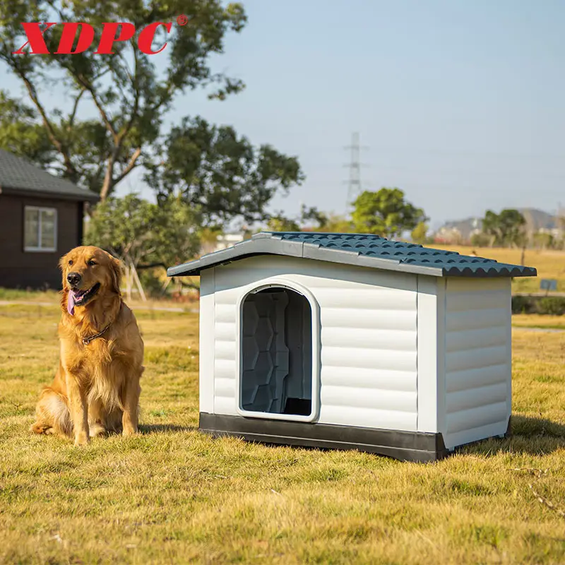 Toptan modern özel boyut plastik evcil hayvan kulubesi köpek evi
