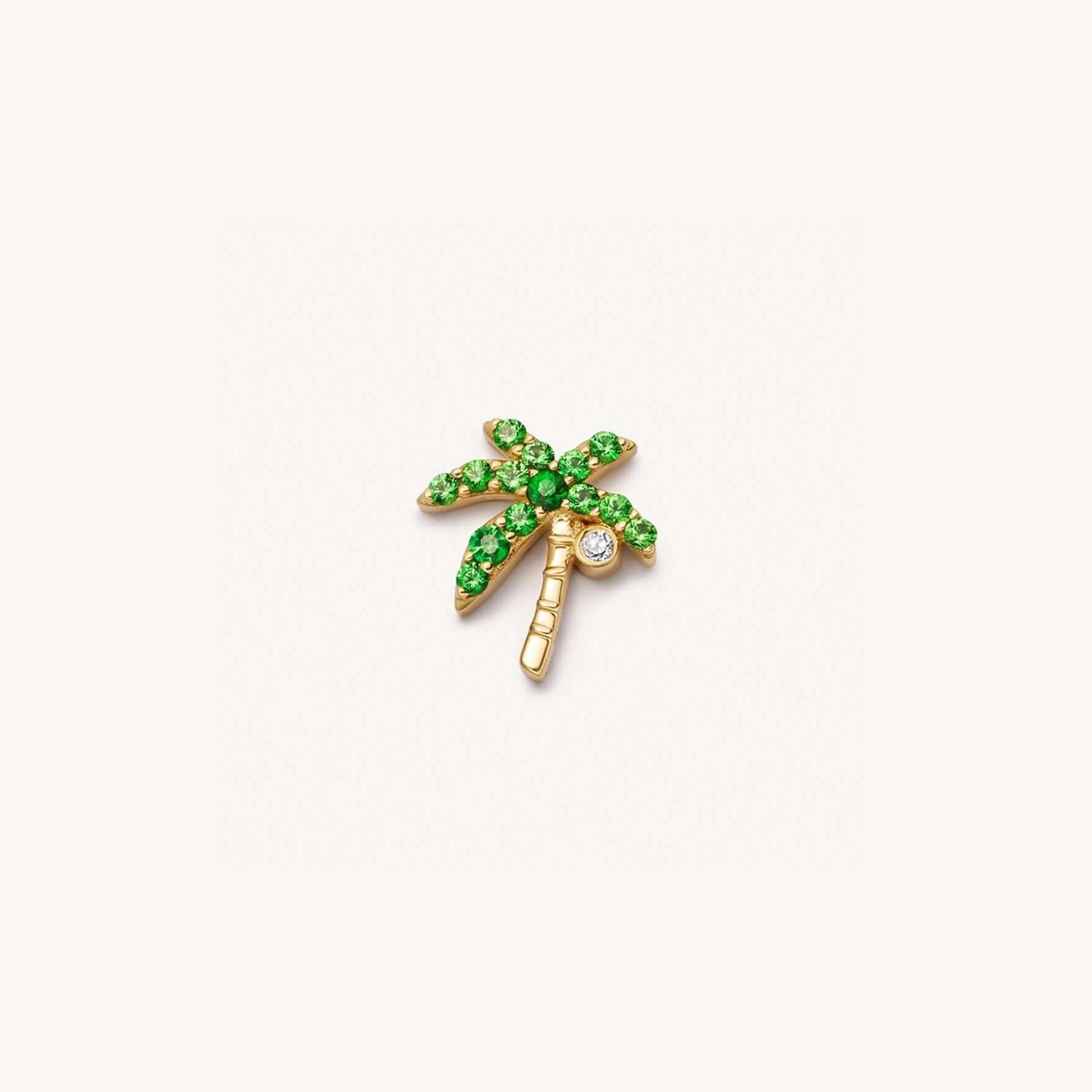Accessoires pour palmiers