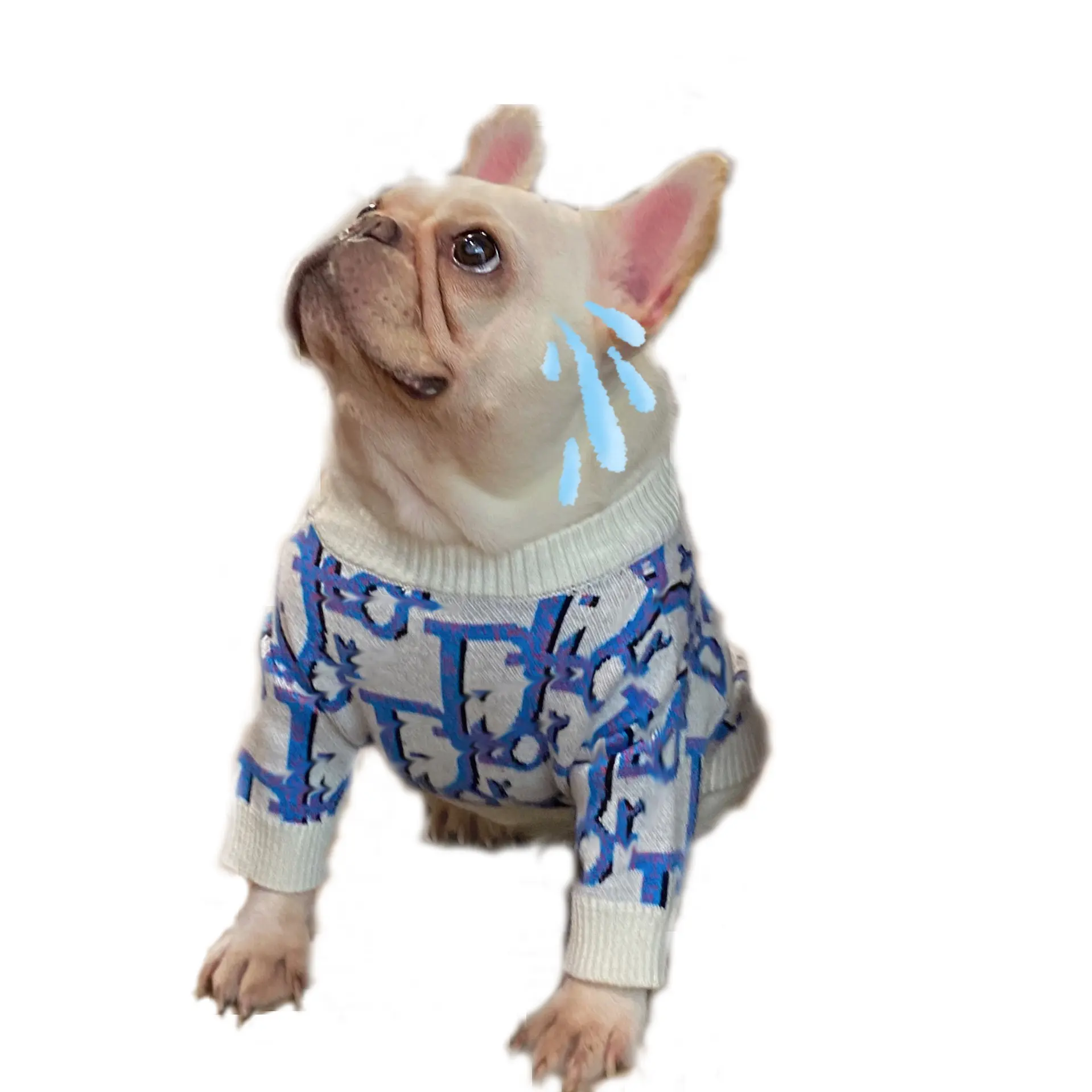 Grosir Pakaian Hewan Peliharaan Anjing Sweter Berkaki Dua Biru dan Putih Huruf dan Garis-garis Warna Yang Cocok Kucing Musim Gugur dan Musim Dingin Sweter