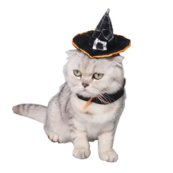 Commercio all'ingrosso Gatto Del Cane di Halloween Cappello Fazzoletto Da Collo Cosplay Vacanza Vestiti Pet Cappello Da Mago
