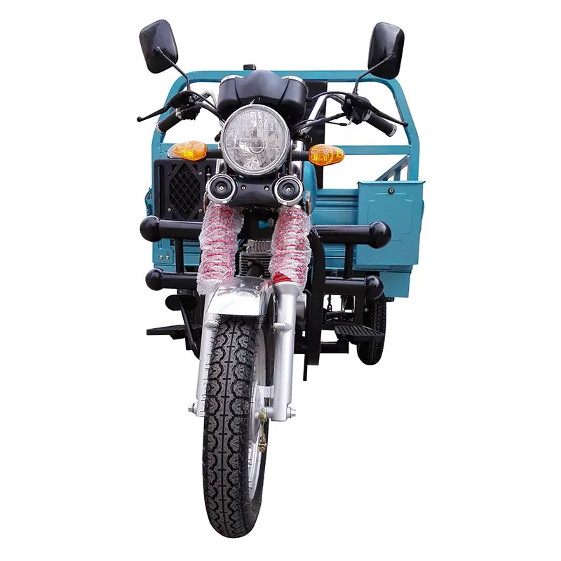 Nhà Máy bán hàng trực tiếp 3 Wheeler công suất lớn ba bánh xe Cargo van Cargo ba bánh