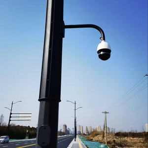 Synthetic Integrated CANTILEVER TRAFFIC POLE W/ <strong>DAVIT</strong> &amp; EXTENSION ARM - Product Image 2