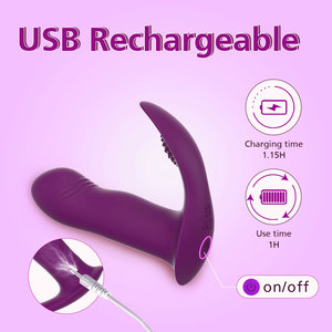 YLoveソフト食品グレードシリコーンABS大人用セックスマッサージ器女性用USBバイブレーターウェアラブル10振動モードリモコン - Product Image 5