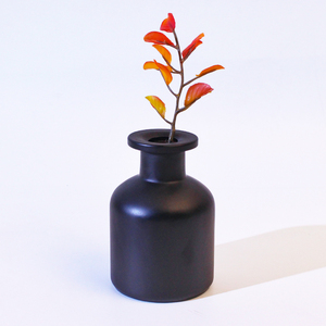 100ml 150ml mờ khuếch tán màu đen chai thủy tinh khuếch tán màu Chai thủy tinh khuếch tán sậy với nút cao su - Product Image 6