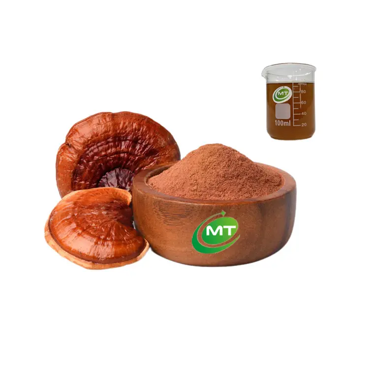 Hoge Kwaliteit Biologische Ganoderma Extract Reishi Polysacchariden Reishi Paddestoel Extract Poeder