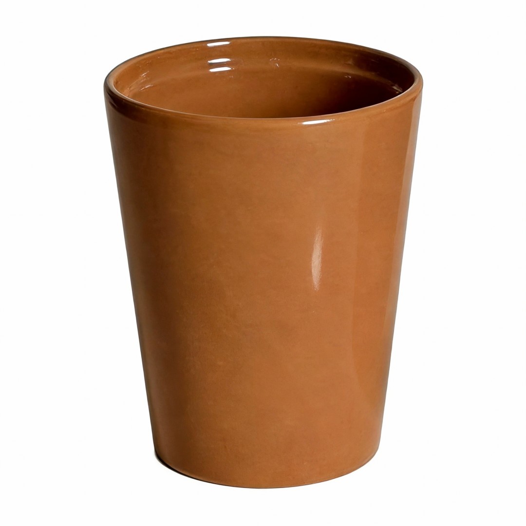 สีน้ำตาล