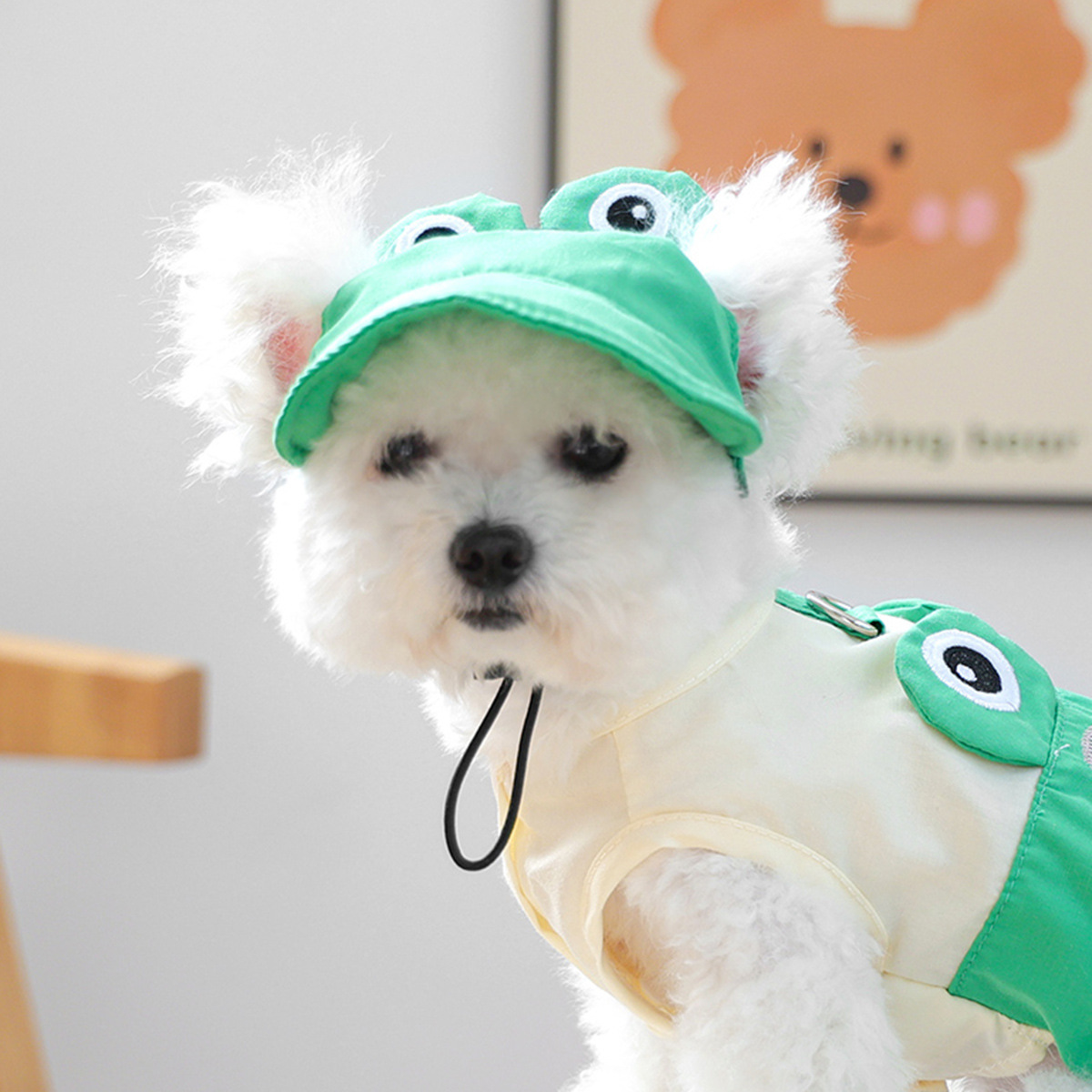 Cartoon sun hat-little frog