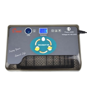 HHD Mini 12 Capacity Auto Turned Egg LED Lighting Function Automatic Chicken Egg Incubators Hatching Machine for Home and Sale - Product Image 3