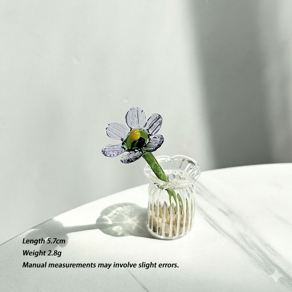 Marguerite violette