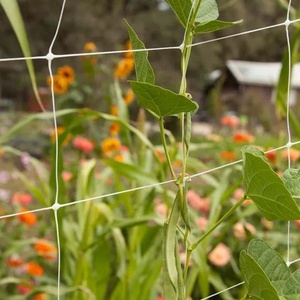 غطاء زراعي أخضر لحماية النباتات يدعم شبكات الفول للتسلق شبكة من البولي بروبيلين لتسلق النباتات شبكة تعريشة لزراعة الحدائق - Product Image 1