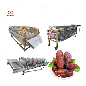 Gelgoog Ingwer Reinigung Waschen Trocknen Sortieren Sortiermaschine Palm Dates Wasch linie und Sortier datum