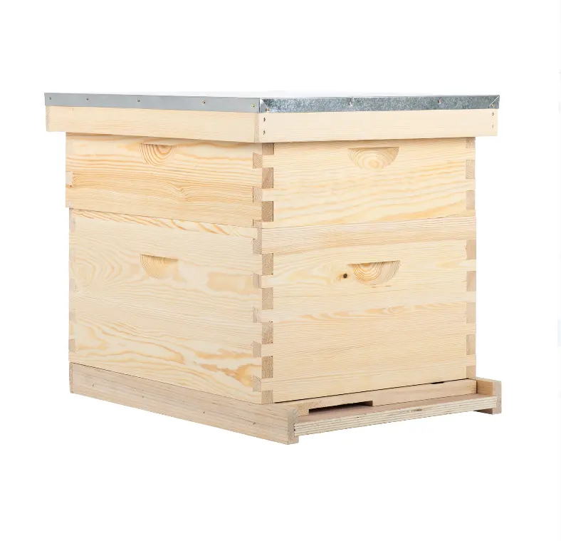 2021 novo Preço de Fábrica DO OEM Langstroth Madeira Honey Bee Hive Apicultura Colmeia Da Abelha Internacional da China