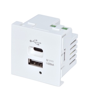 NEPCI 45型模块化USB插座双4.2A 5V USB充电器智能壁式电源插座2USB DC插座USB-17E-3-A/C - Product Image 1