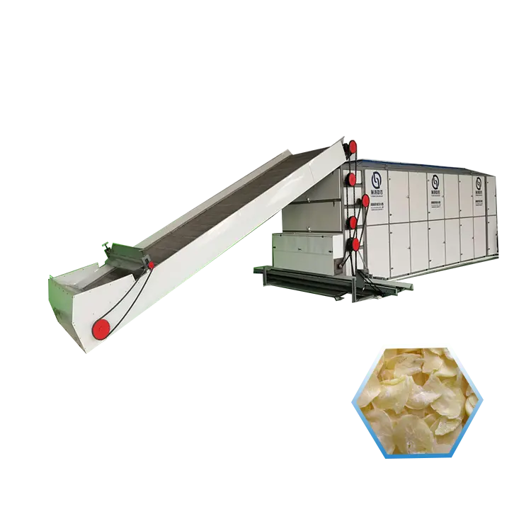 Sürekli Endüstriyel Bant Konveyör Mango Yer Fıstığı Sarımsak Kurutucu Patates Cipsi Için Kurutma Makinesi