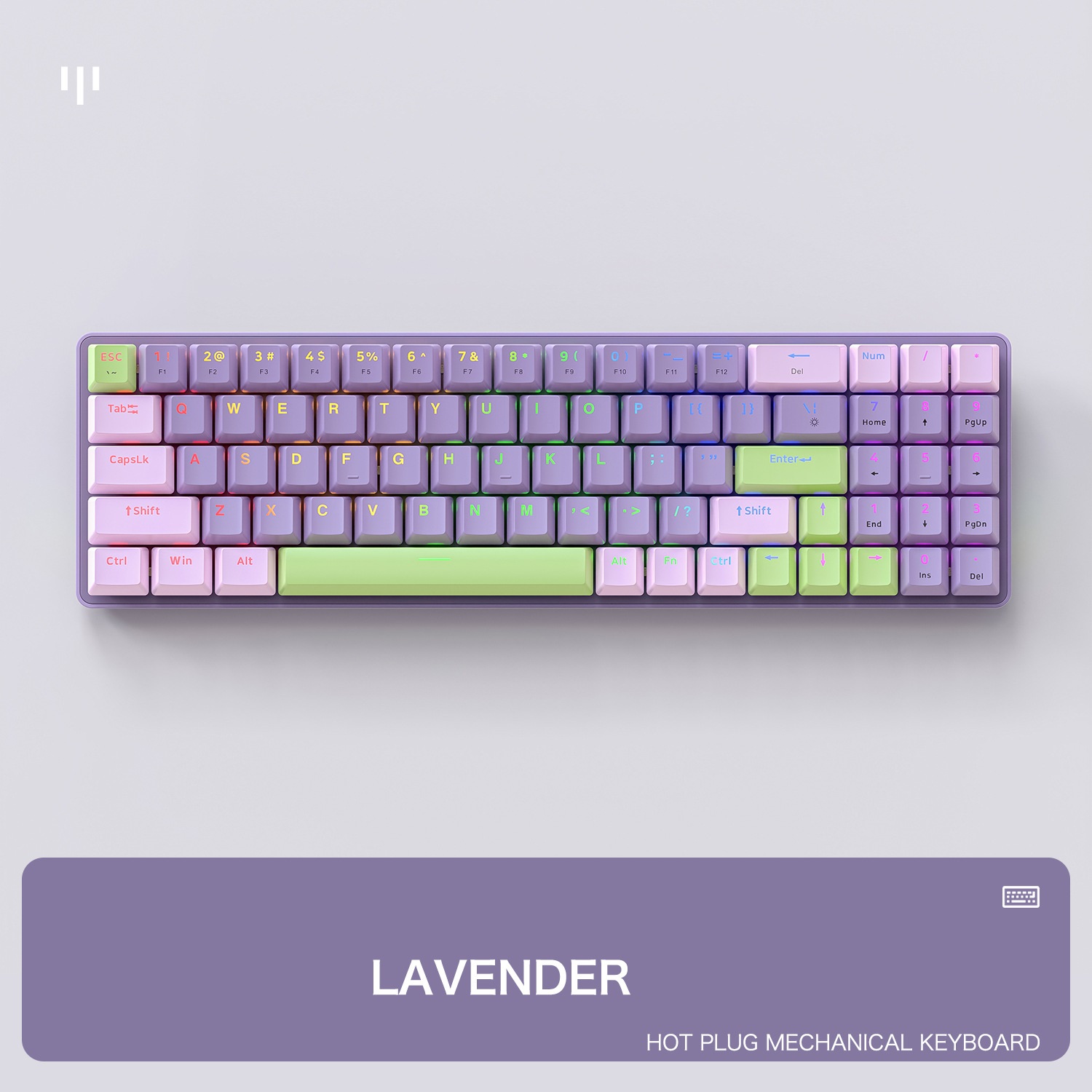 Lavande