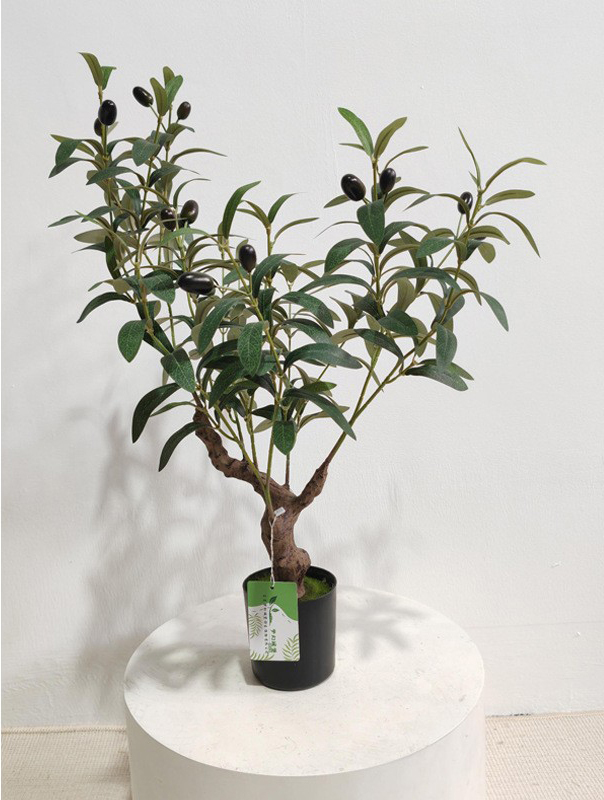 Green 60cm