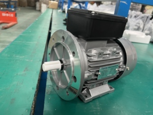 La mia serie 0.18KW monofase motore a corrente alternata per sistemi di controllo industriale ufficio automazione robotica - Product Image 4