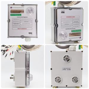 Fonte di fabbrica Wireless industriale gru a ponte telecomando a doppia velocità gru telecomando con unica carta di identificazione - Product Image 3