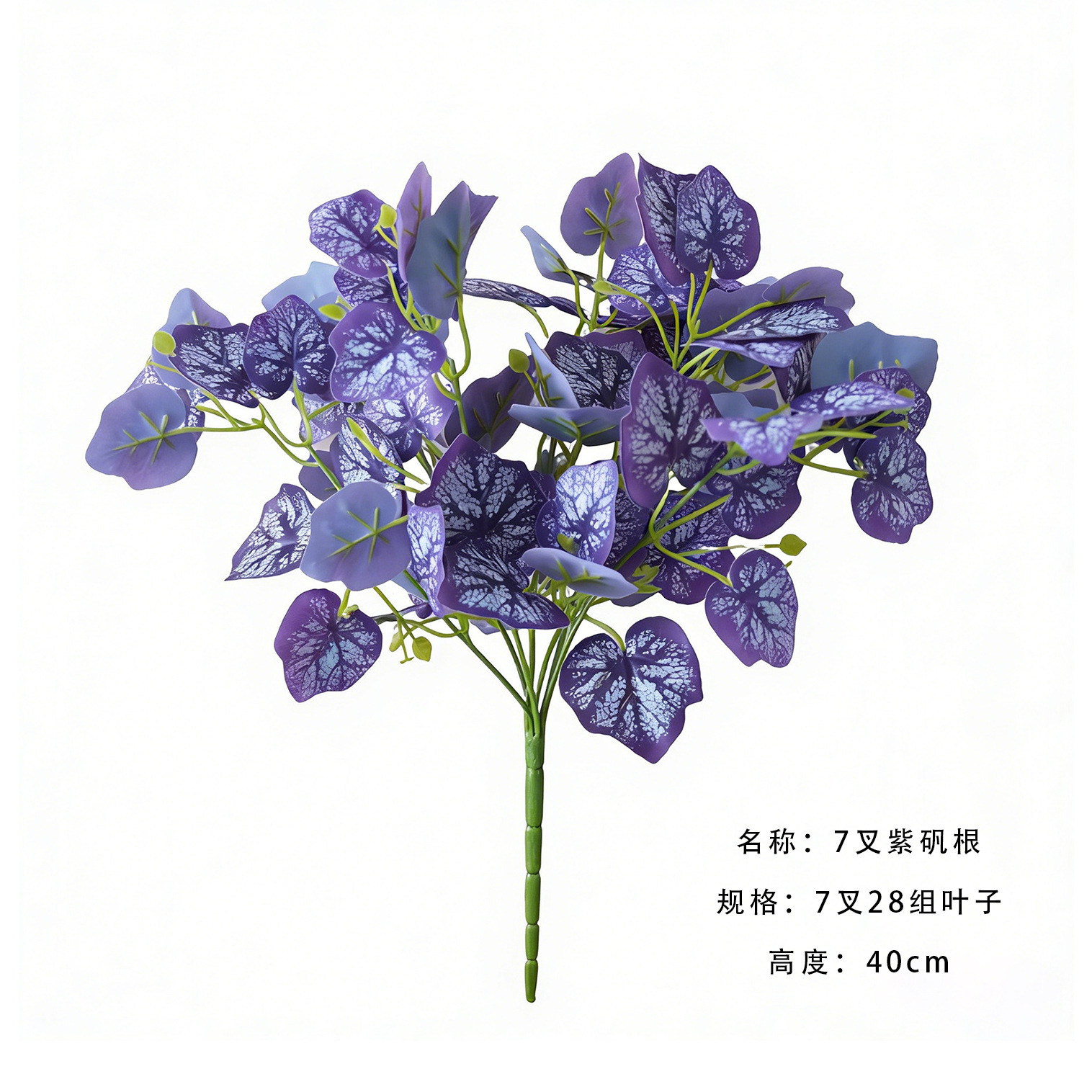 7 fork purple alum root a branch