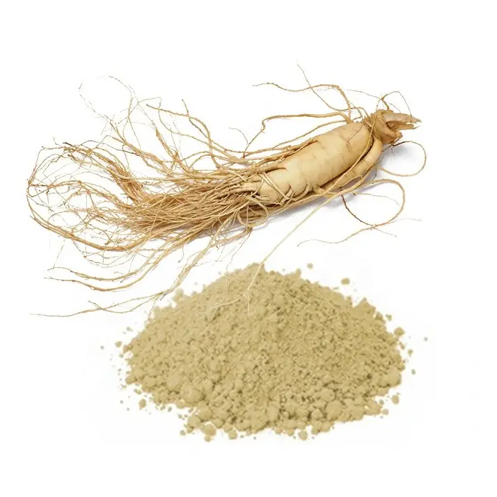 Fabricant OEM vente en gros d'extrait naturel pur de racine de Ginseng liquide extrait de racine de Ginseng de haute qualité du Vietnam