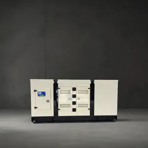 Generador diésel silencioso de 15 KVA y 15 kW, grupo electrógeno de 220 voltios, 400V/110V, voltaje nominal, Gobernador eléctrico, 50/60Hz, toldo de 1/3 fases - Product Image 3