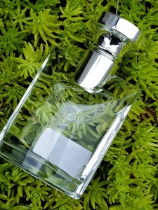 <strong>Extreme</strong> Lasting Fragrant Wood Light <strong>Perfume</strong> Fresh Neutral Scent for Boyfriend Spray Form - Product Image 6
