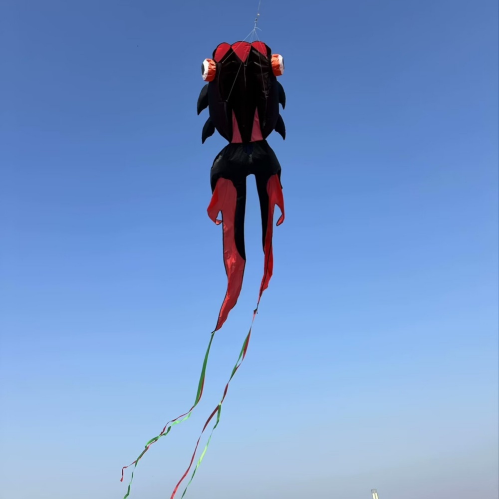 Rouge Noir